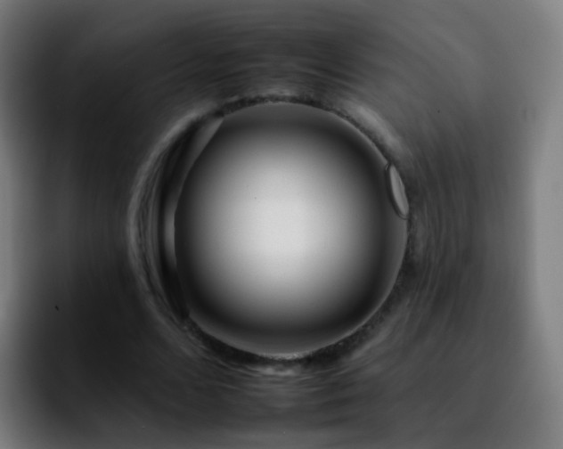 X0000092260680200709211119