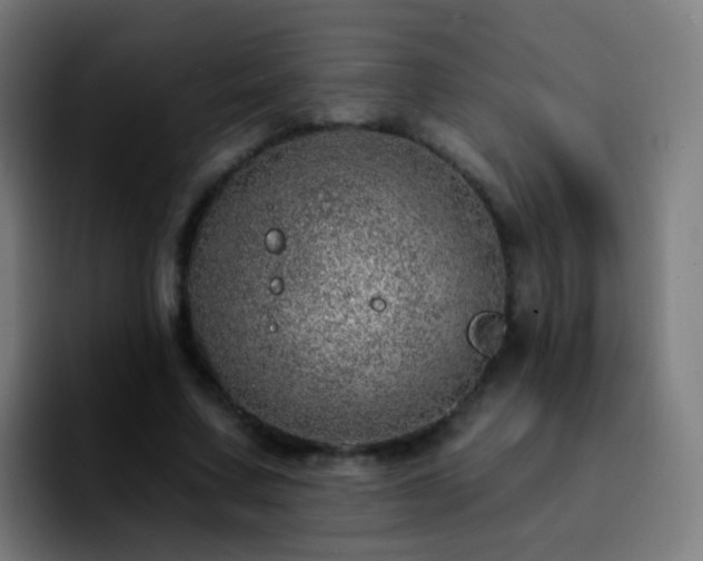 X0000092260683200709211119