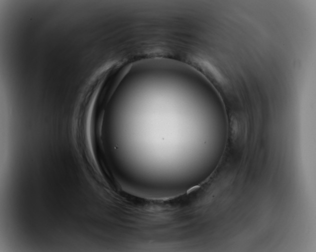 X0000092260684200709211119