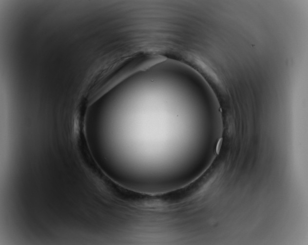 X0000092260685200709211119