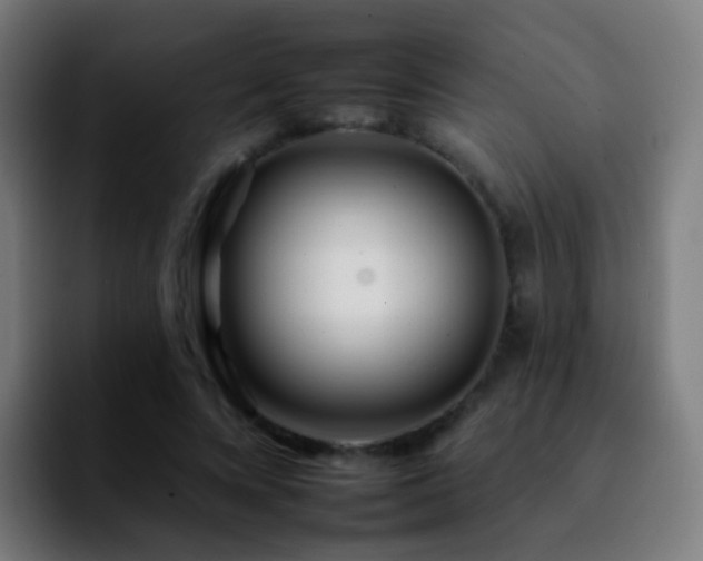 X0000092260688200709211119