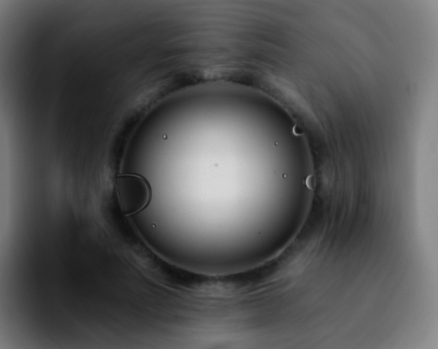 X0000092260691200709211119