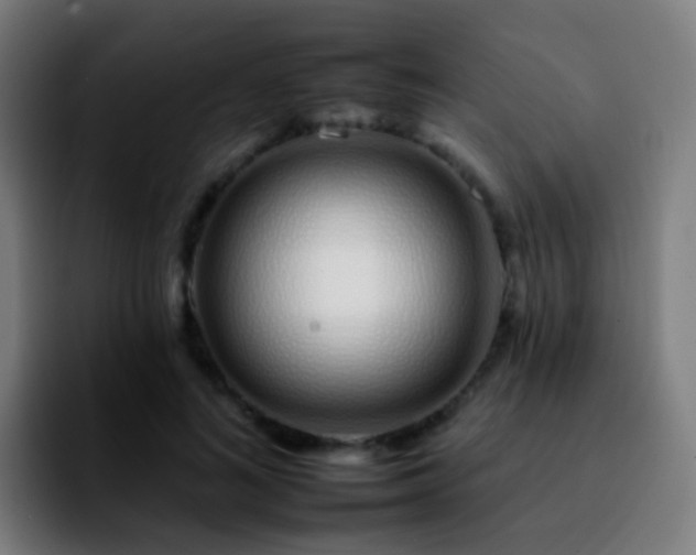 X0000092260692200709211119