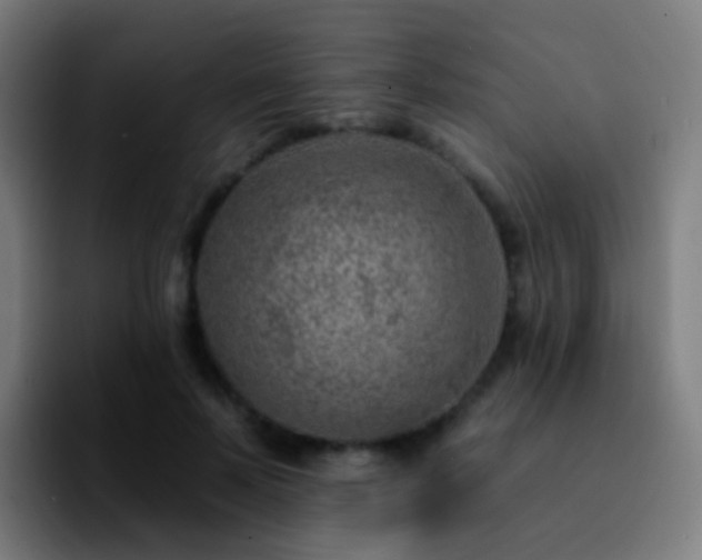 X0000092260695200709211119