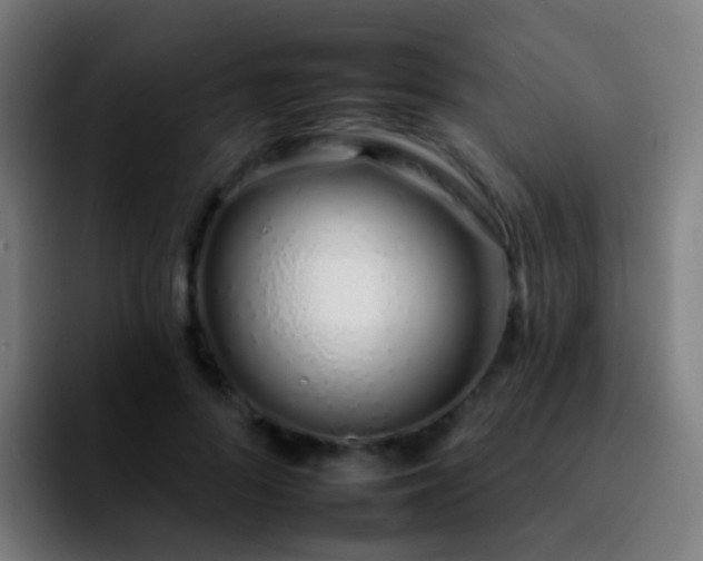 X0000092260696200709211119