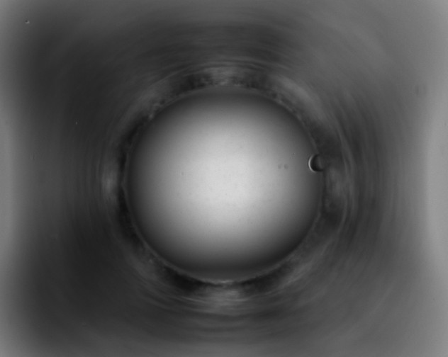 X0000092260698200709211119