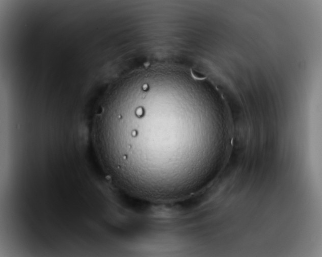 X0000092260703200709211119