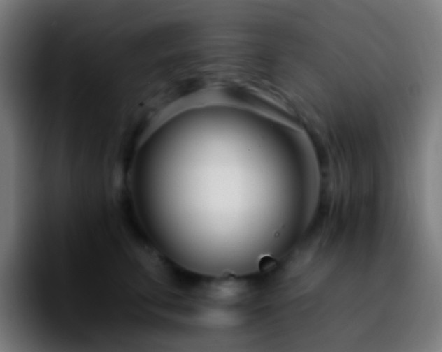 X0000092260711200709211119