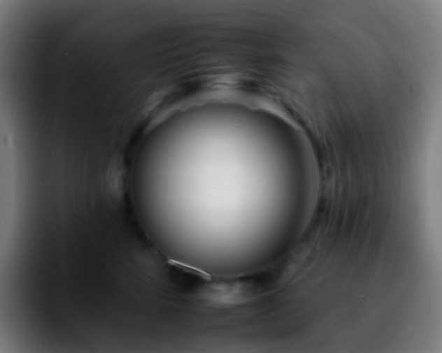 X0000092260712200709211119