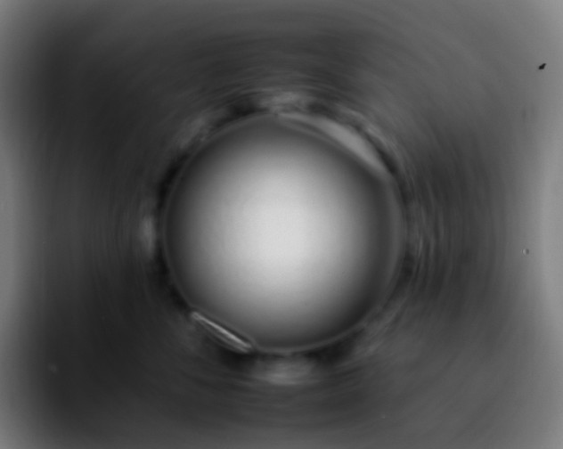 X0000092260716200709211119