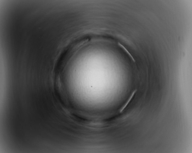 X0000092260720200709211119