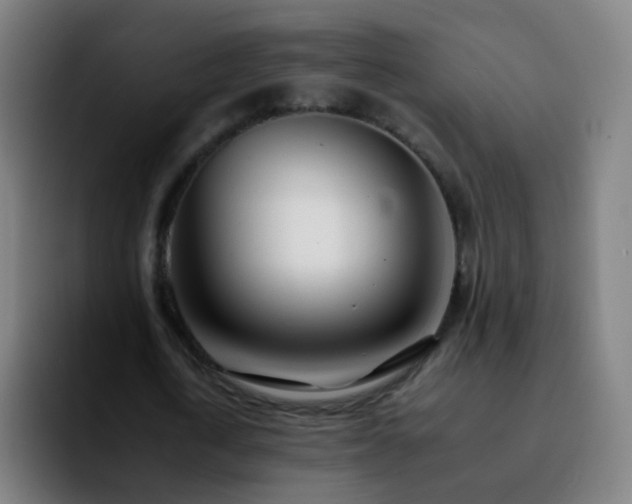 X0000092260722200709211118