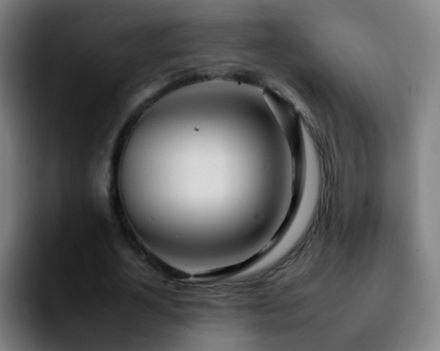 X0000092260724200709211118