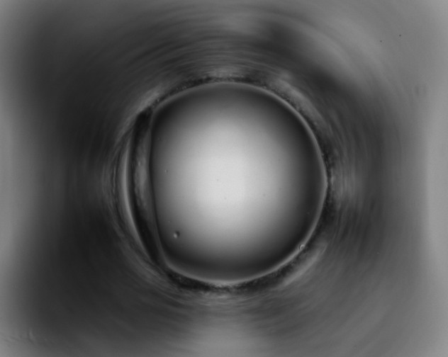 X0000092260725200709211118