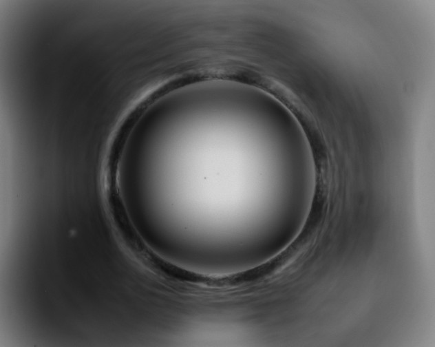 X0000092260726200709211119