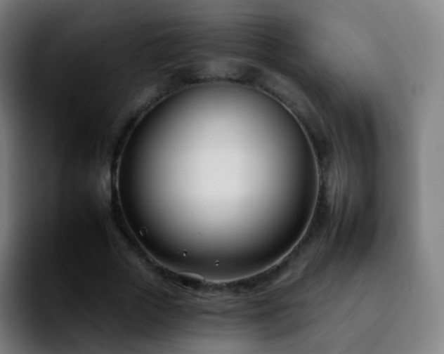 X0000092260729200709211119