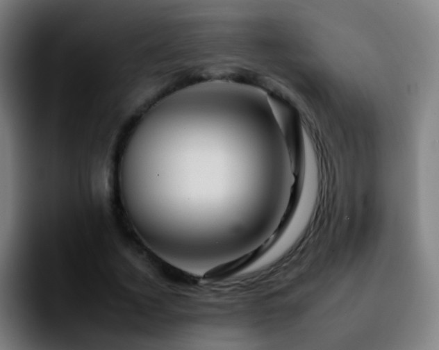 X0000092260732200709211119