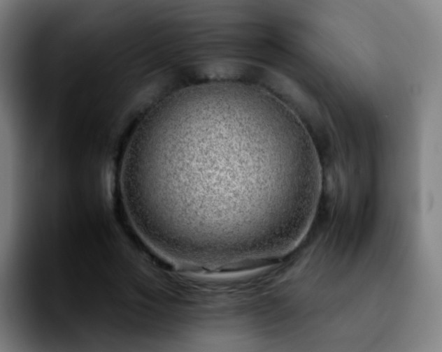 X0000092260733200709211119