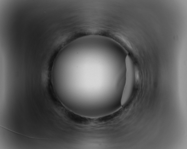 X0000092260736200709211119