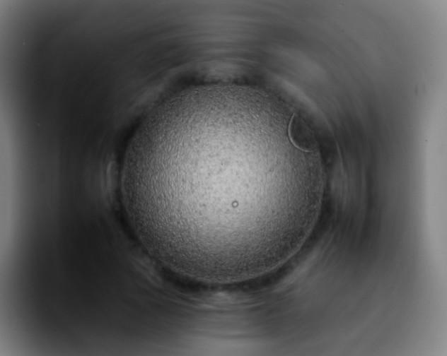 X0000092260737200709211119