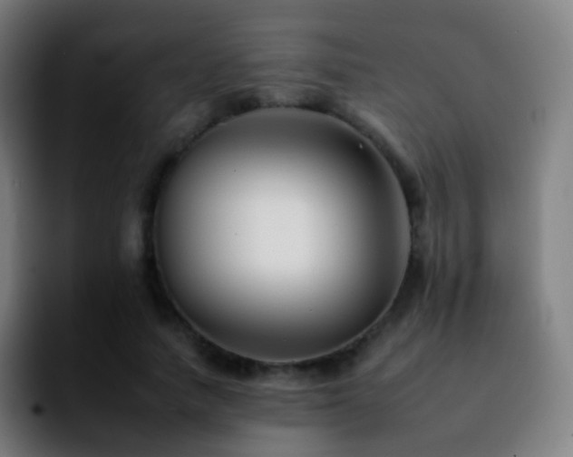 X0000092260738200709211119