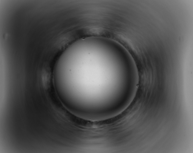 X0000092260739200709211119