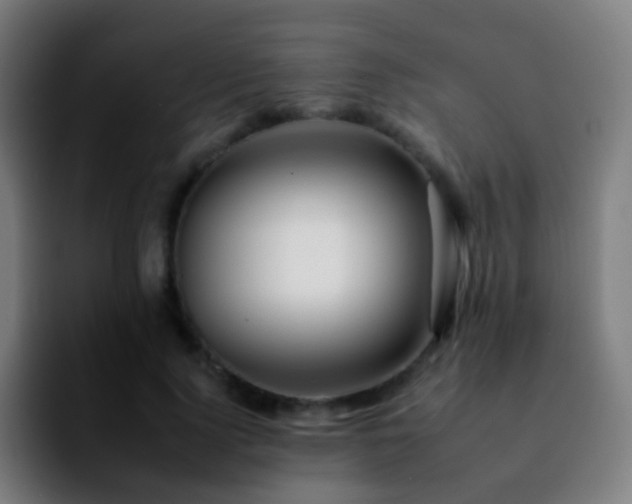 X0000092260740200709211119