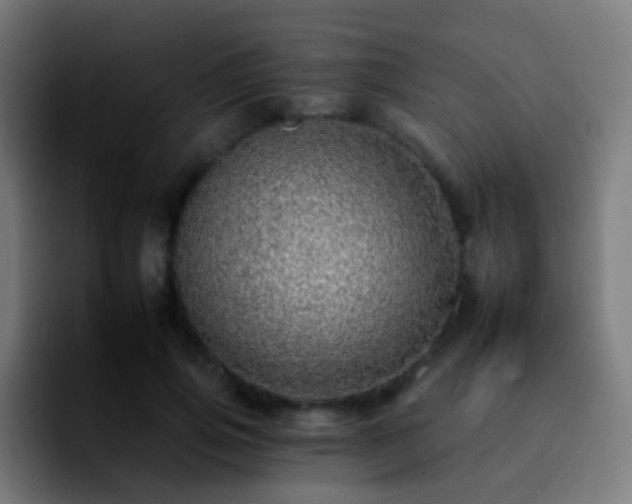 X0000092260741200709211119