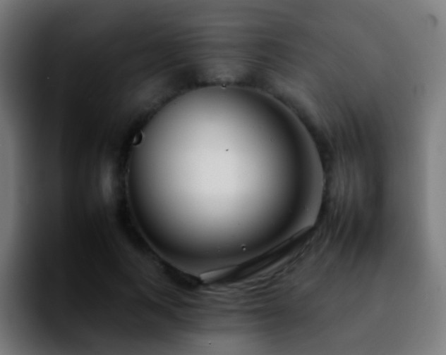 X0000092260743200709211119