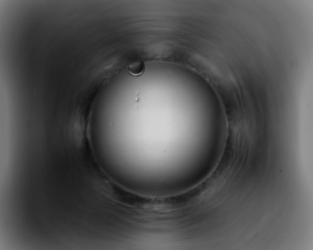 X0000092260745200709211119