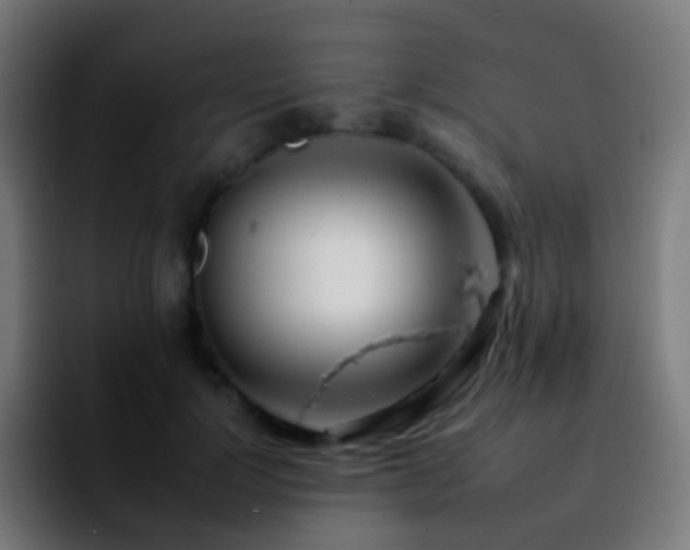 X0000092260748200709211119