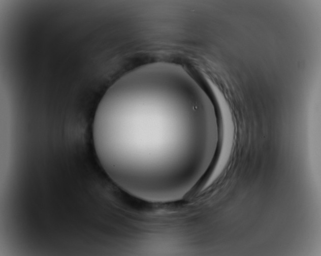 X0000092260750200709211119