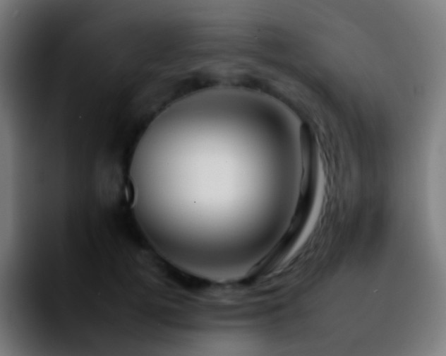 X0000092260752200709211119