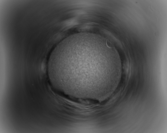 X0000092260753200709211119