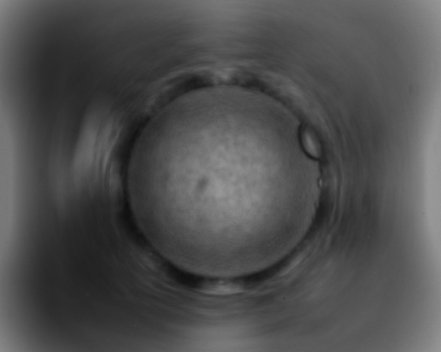 X0000092260754200709211119