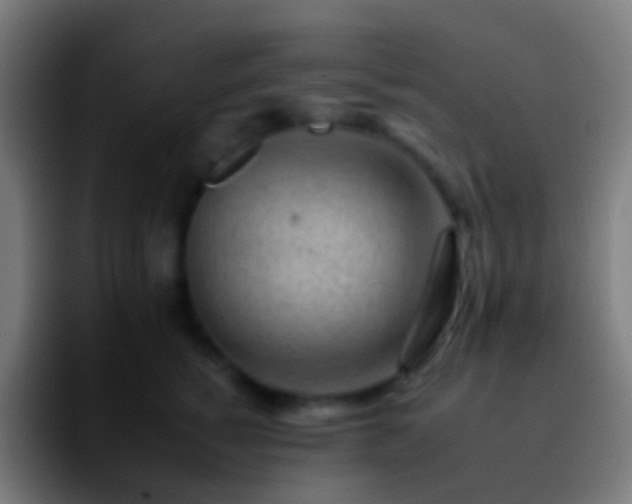 X0000092260760200709211119