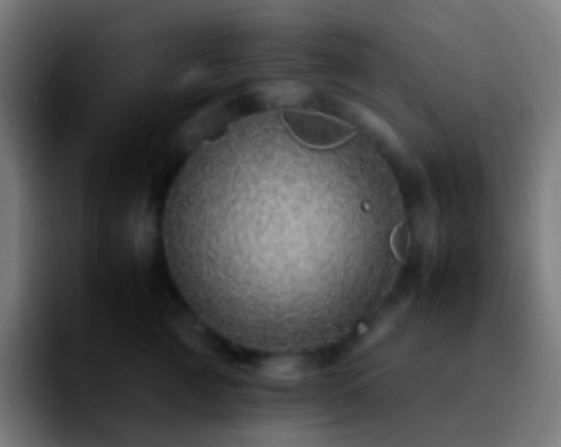 X0000092260761200709211119