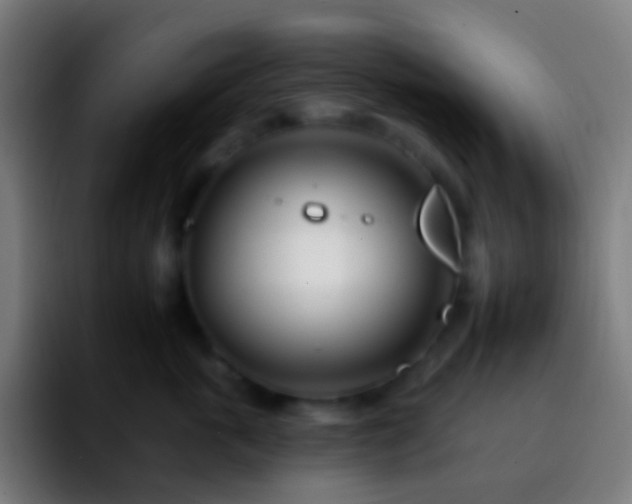 X0000092260763200709211119