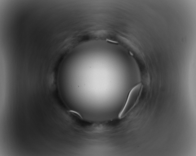 X0000092260764200709211119