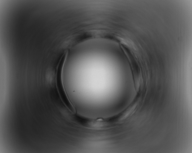 X0000092260766200709211119