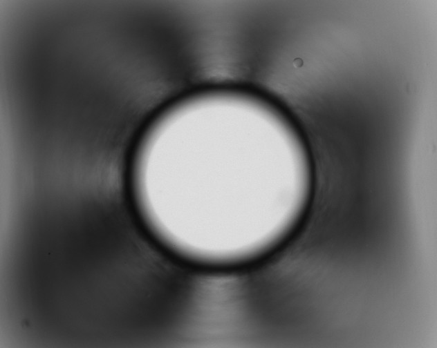 X0000092260768200709211119