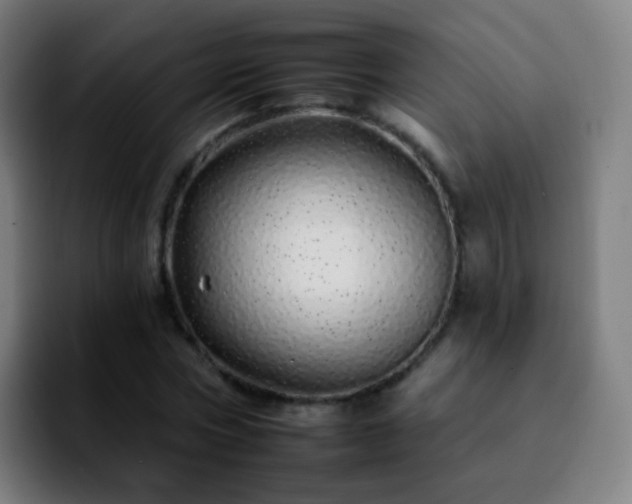 X0000092260778200709211118