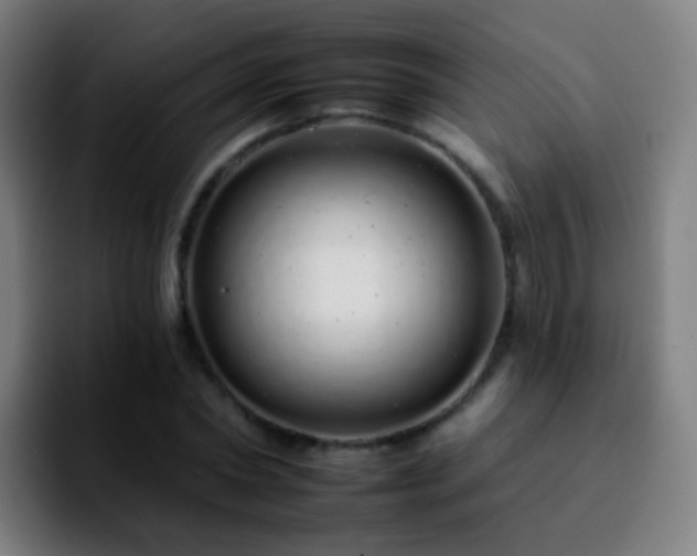 X0000092260782200709211118