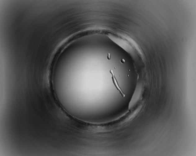 X0000092260783200709211118