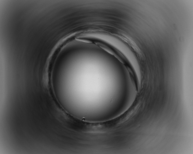 X0000092260784200709211118