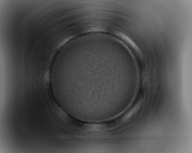 X0000092260785200709211118