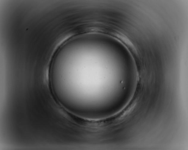 X0000092260790200709211118