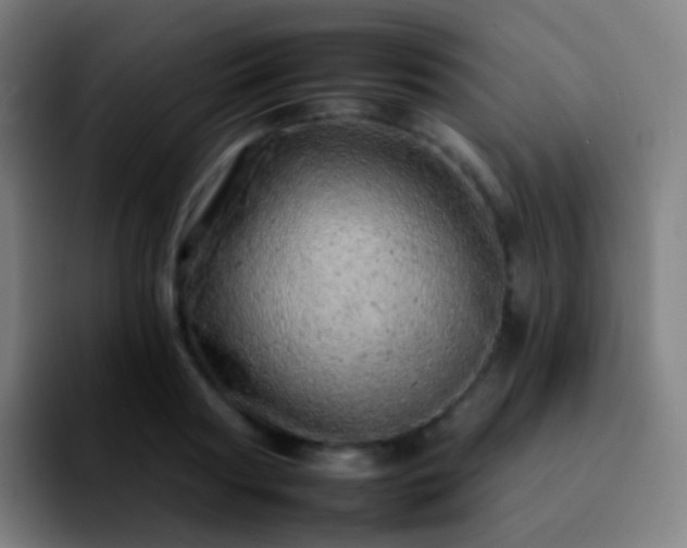 X0000092260794200709211118