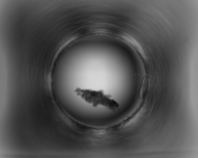 X0000092260798200709211118