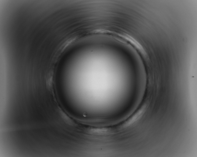 X0000092260801200709211118